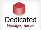 Dedicated Servers India