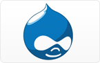 Drupal Development Services