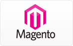 Magento Development services