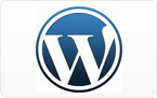 Wordpress SEO Services