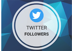 Twitter followers