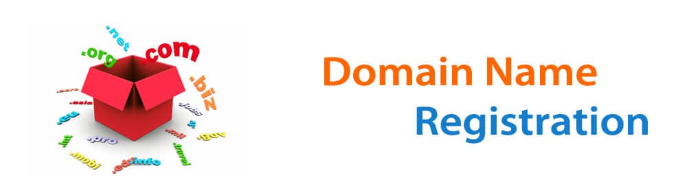 domain-name-registration