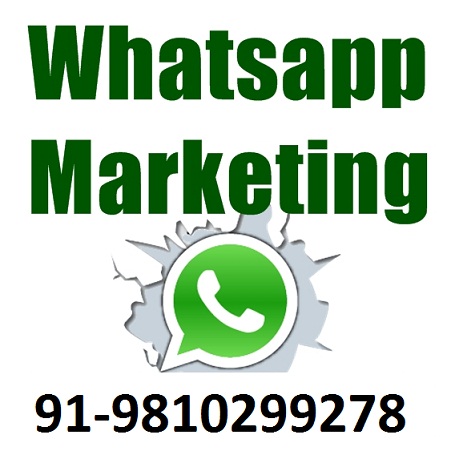 Whatsapp Marketing Call