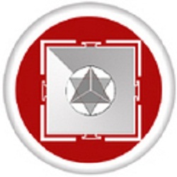 BrainPulse Technologies Pvt. Ltd. logo
