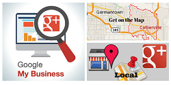 google my business seo