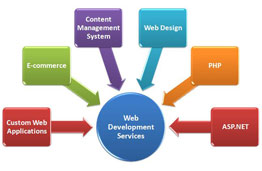 Web Development Services