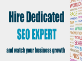 Hire Dedicated SEO Professionals